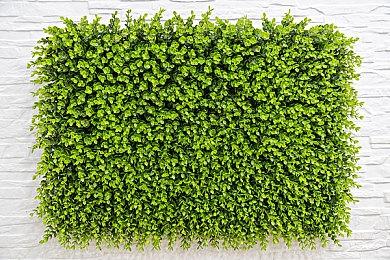 《猫头鹰男孩》开发商公布新作《蹦床上的维京人》